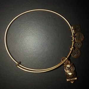 Alex and Ani bracelet